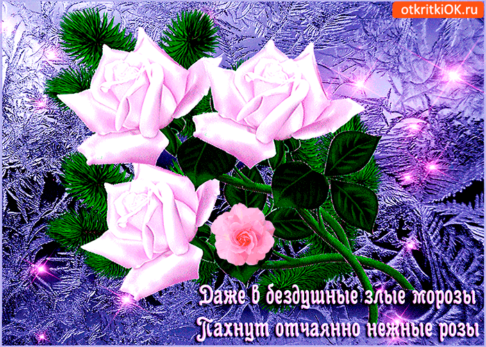 Открытка пахнут нежные розы