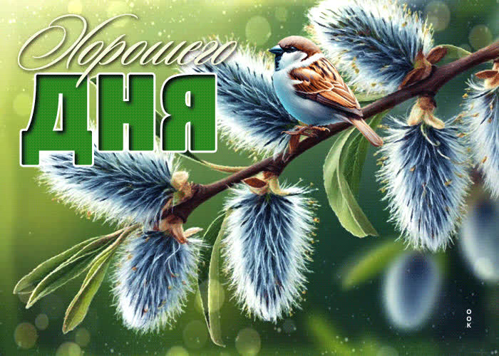 Postcard пастельная и спокойная весенняя гиф-открытка хорошего дня