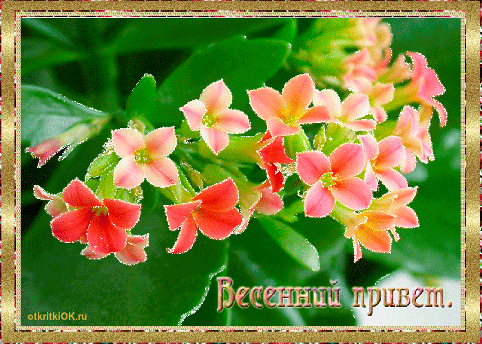 Открытка первый день весны праздник
