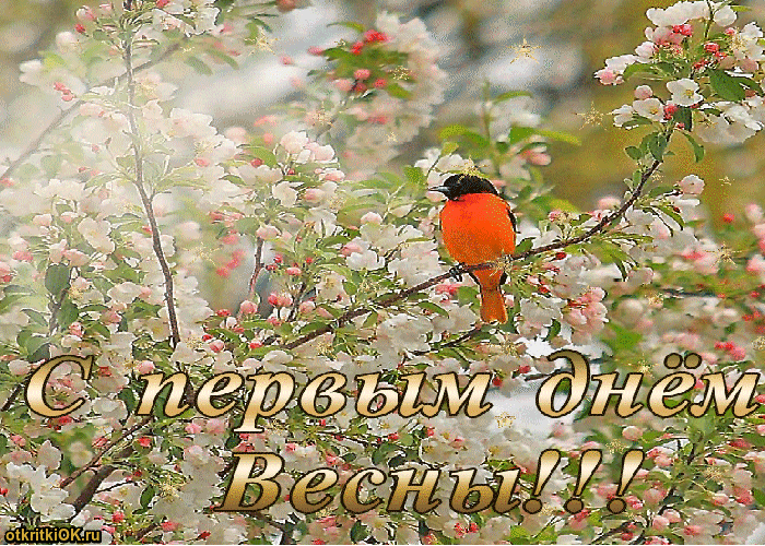 Картинка первый день весны прикольные