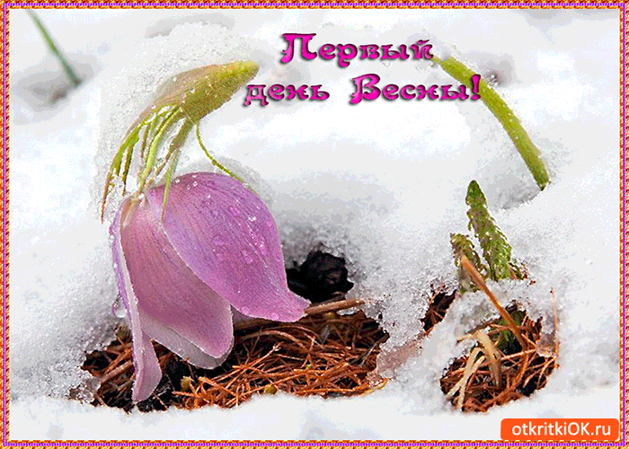 Открытка первый день долгожданной весны