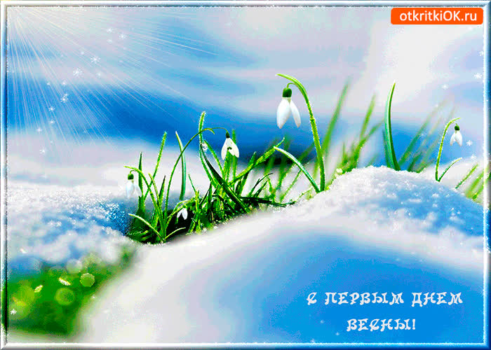 Картинка первый день зеленой весны
