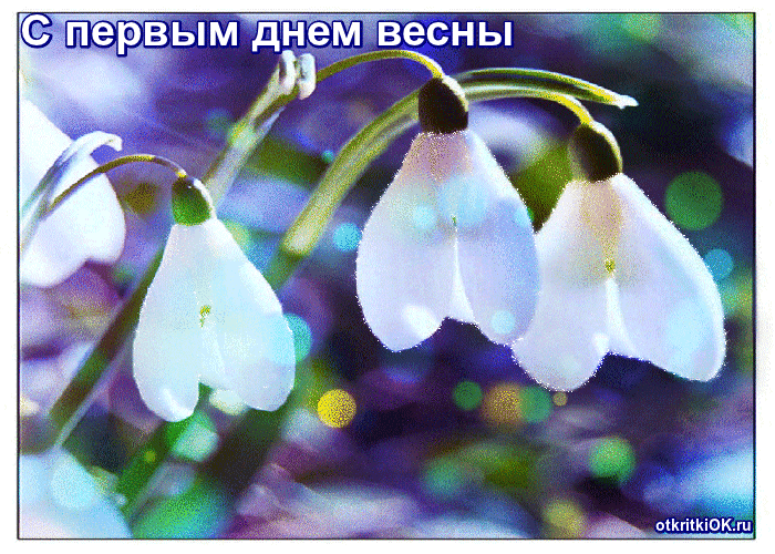 Открытка первое марта день весны