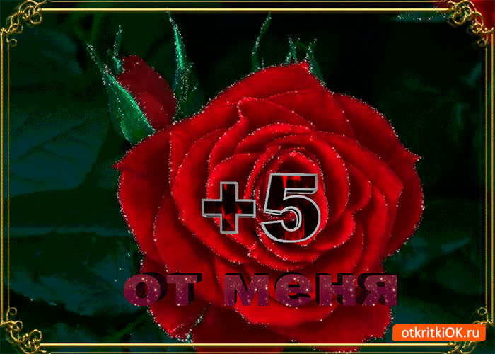 Картинка пять с плюсом от меня