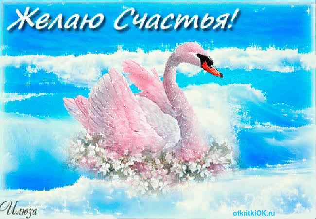 Картинка плейкаст днём счастья