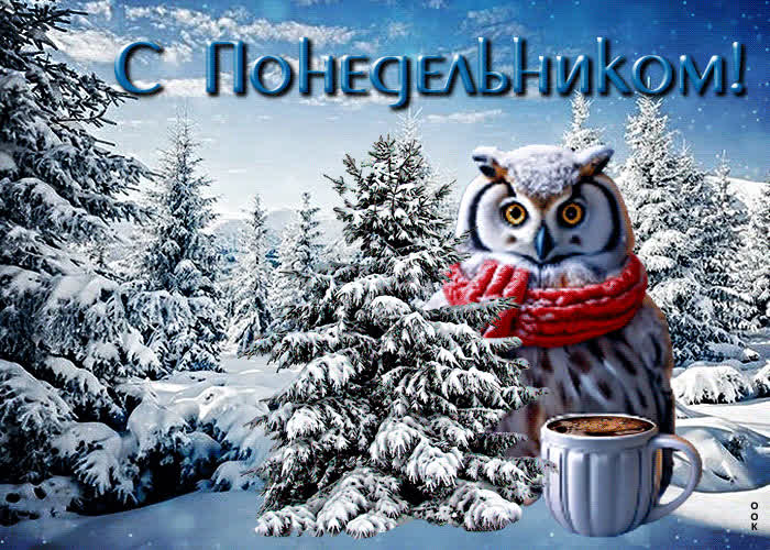 Postcard пленительная анимационная открытка с совой с понедельником