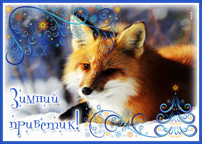 Картинка плейкаст зима