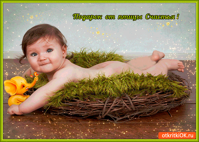 Картинка подарок от птицы счастья