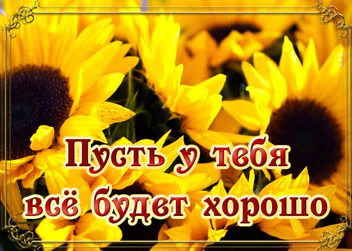Картинка поделись своим хорошим настроением