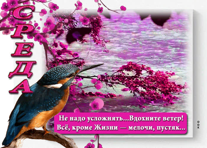 Postcard поэтичная гиф-открытка среда! все, кроме жизни - мелочи, пустяк