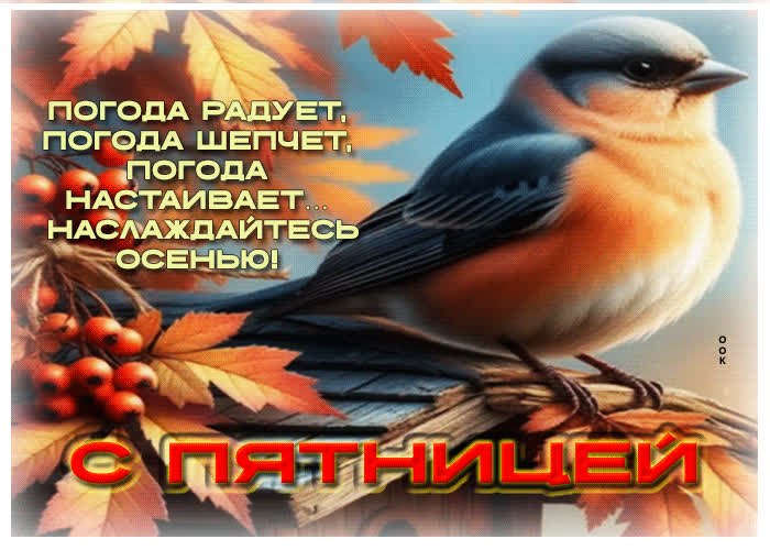 Picture погода радует, погода шепчет. с пятницей