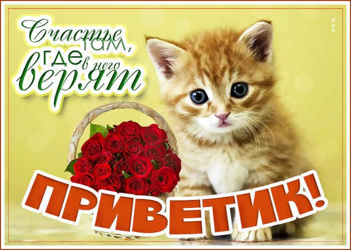 Картинка положительная картинка привет