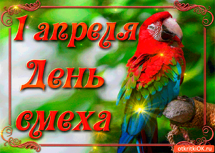 Картинка попугай кеша поздравляет с 1 апреля!