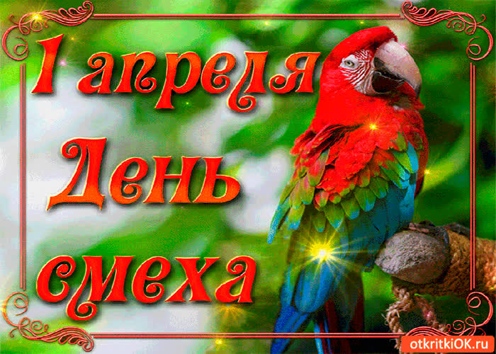Картинка попугай кеша поздравляет с 1 апреля!