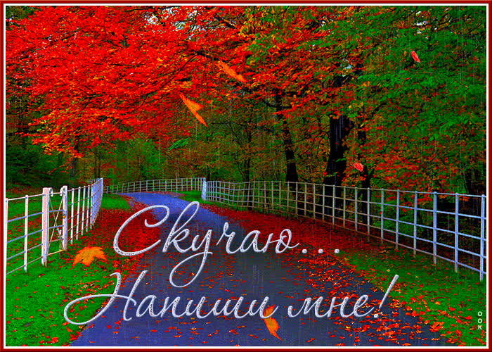 Postcard поразительная открытка скучаю... напиши мне!