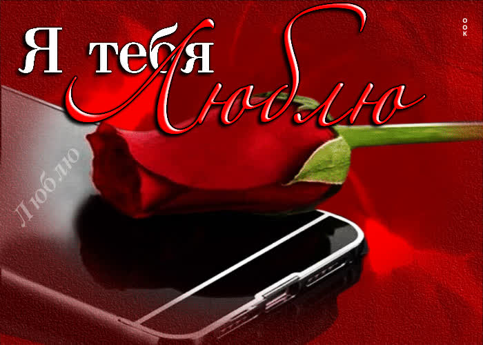 Postcard поразительная открытка я тебя люблю