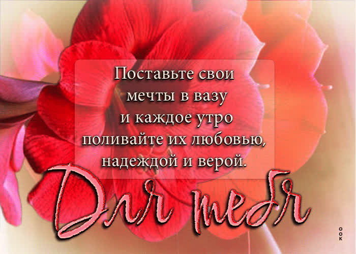 Picture поставьте свои мечты в вазу и поливайте их любовью