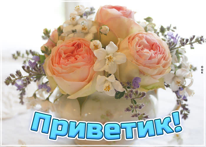 Картинка потрясающая картинка приветик