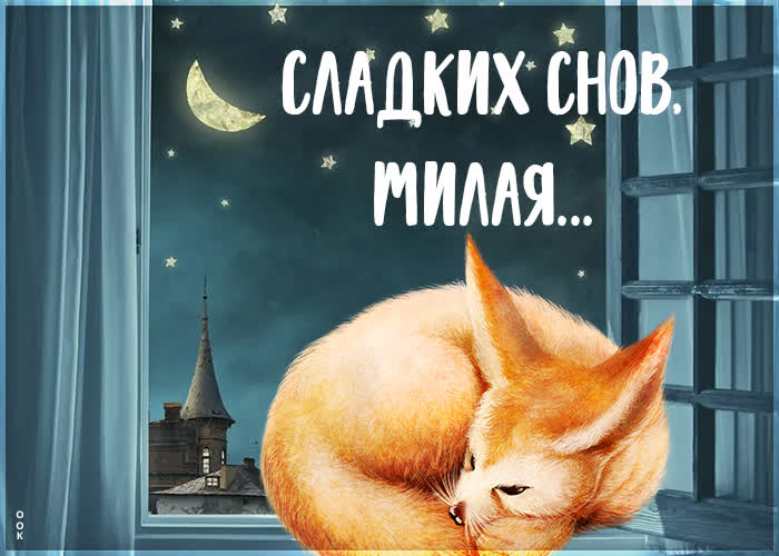 Картинка потрясающая картинка сладких снов, милая