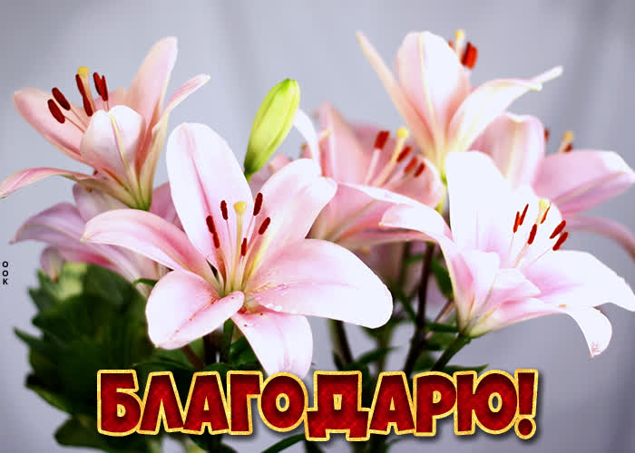 Postcard потрясающая открытка с цветами благодарю!