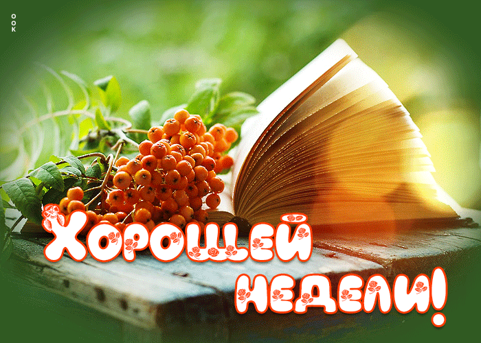 Postcard потрясающая открытка с книгой хорошей недели!