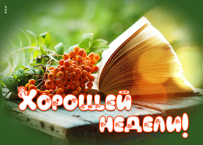 Postcard потрясающая открытка с книгой хорошей недели!