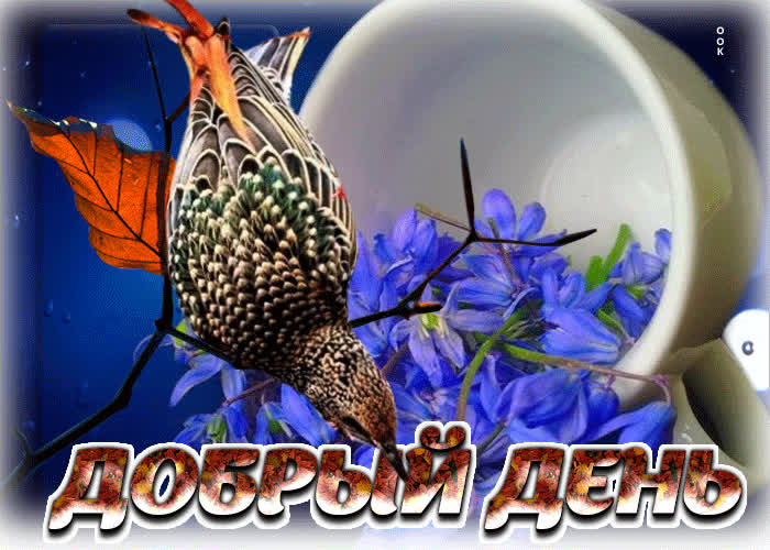 Postcard потрясающая открытка с птичкой добрый день
