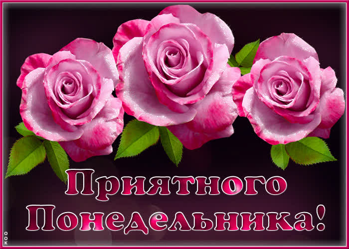 Postcard потрясающая открытка с розами приятного понедельника