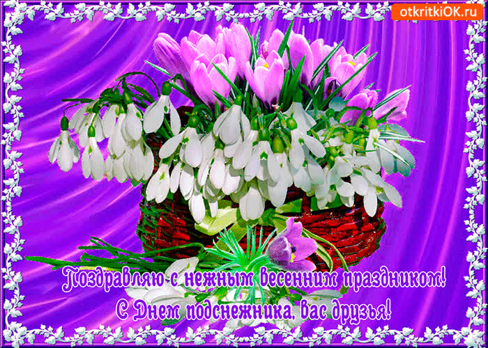Картинка поздравляю с днём подснежника вас друзья