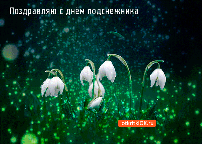 Картинка поздравляю с днём подснежника