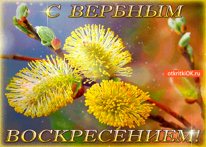 Картинка поздравление с вербным воскресеньем