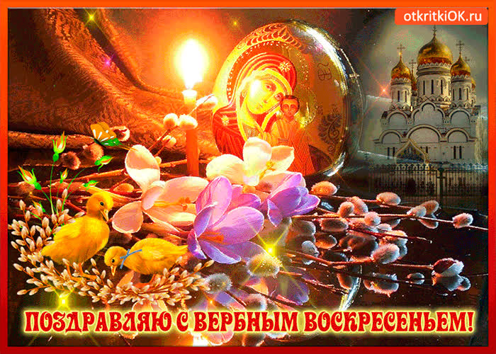 Картинка поздравляю всех с вербным воскресеньем