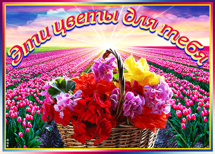 Картинка поздравление для друзей