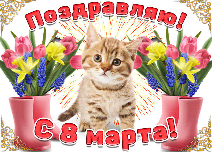 Картинка поздравляю с 8 марта