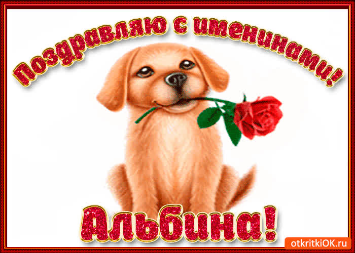 Картинка поздравляю с днём имени альбина