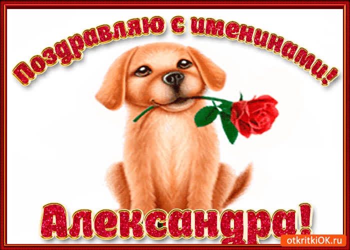 Картинка поздравляю с днём имени александра