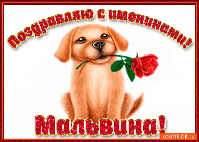 Картинка поздравляю с днём имени мальвина