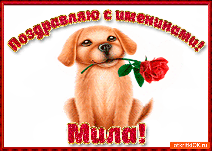 Открытка поздравляю с днём имени мила