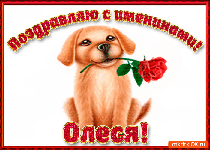 Картинка поздравляю с днём имени олеся