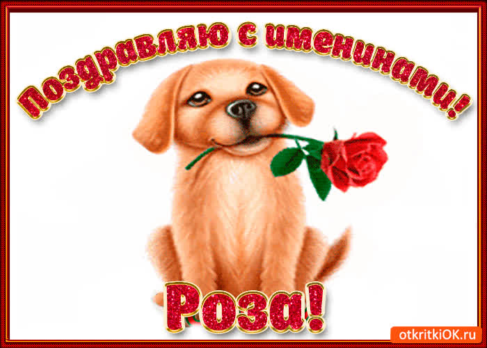 Картинка поздравляю с днём имени роза