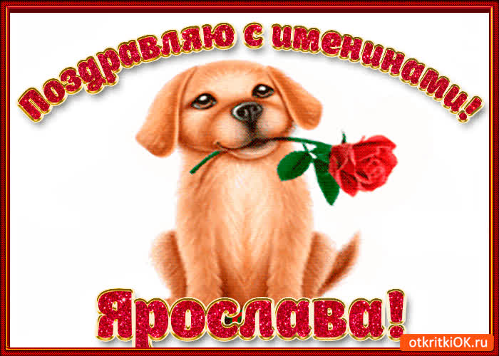 Картинка поздравляю с днём имени ярослава