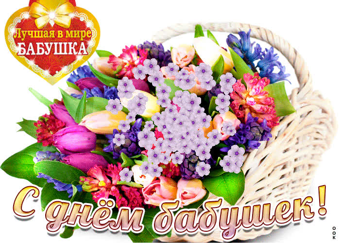 Картинка поздравляю тебя бабушка от всей души