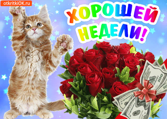 Картинка пожелания хорошей недели картинка