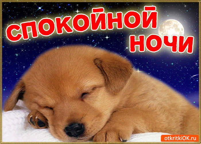 Картинка пожелания спокойной ночи