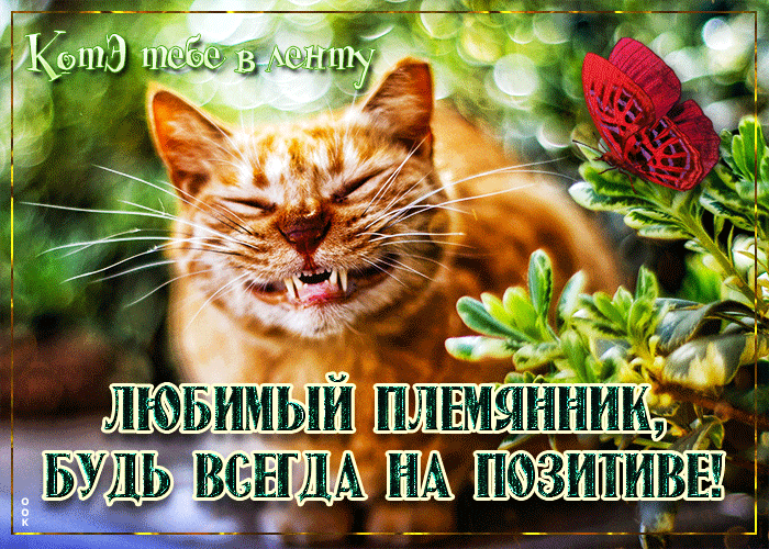 Открытка позитивная открытка племяннику