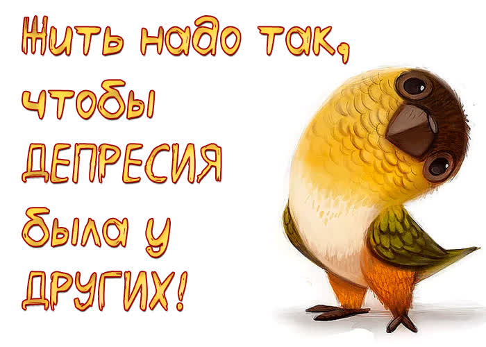 Картинка позитивная картинка с юмором