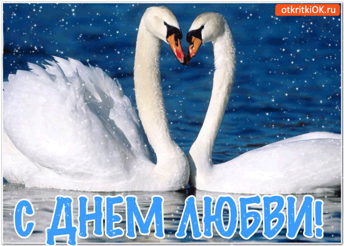 Картинка праздник день любви