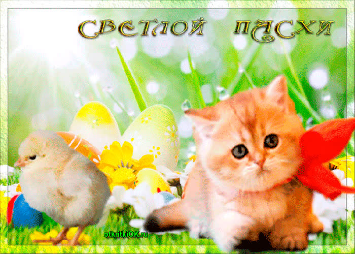 Картинка праздник пасха