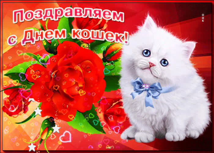 Картинка празднуем всемирный день кошек
