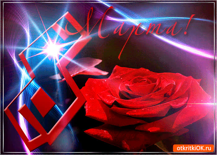 Картинка прекрасная роза с 8 марта